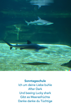 Загрузить изображение в средство просмотра галереи, Живые тексты песен Ральфа Кристофа Кайзера от 1 июня 2023 года с текстами, изображениями и произнесенными словами в формате mp3 для скачивания.