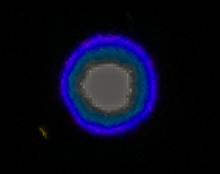 Charger l'image dans la galerie, Observations de Deneb depuis le cygne du signe astrologique par Ralf Christoph Kaiser 8 septembre 2023