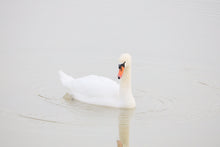 Load image into Gallery viewer, two little short stories:"Today at the lake"and"I shaved off my beard yesterday"from my life as a PDF with text and image