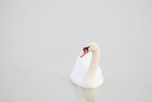 Load image into Gallery viewer, two little short stories:"Today at the lake"and"I shaved off my beard yesterday"from my life as a PDF with text and image