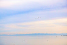 Load image into Gallery viewer, Merry Christmas wishes thebedtimestory.online with a best of selection of beautiful photos from the year 2023 by Ralf Christoph Kaiser