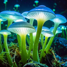 Laden Sie das Bild in den Galerie-Viewer, Sience Fiction Kurz Geschichte by Ralf Christoph Kaiser: "Die Erforschung von XEros 03" November 2025 auf deutsch, englisch, französisch und spanisch