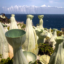 Laden Sie das Bild in den Galerie-Viewer, Sience Fiction Kurz Geschichte by Ralf Christoph Kaiser: "Die Erforschung von XEros 03" November 2025 auf deutsch, englisch, französisch und spanisch