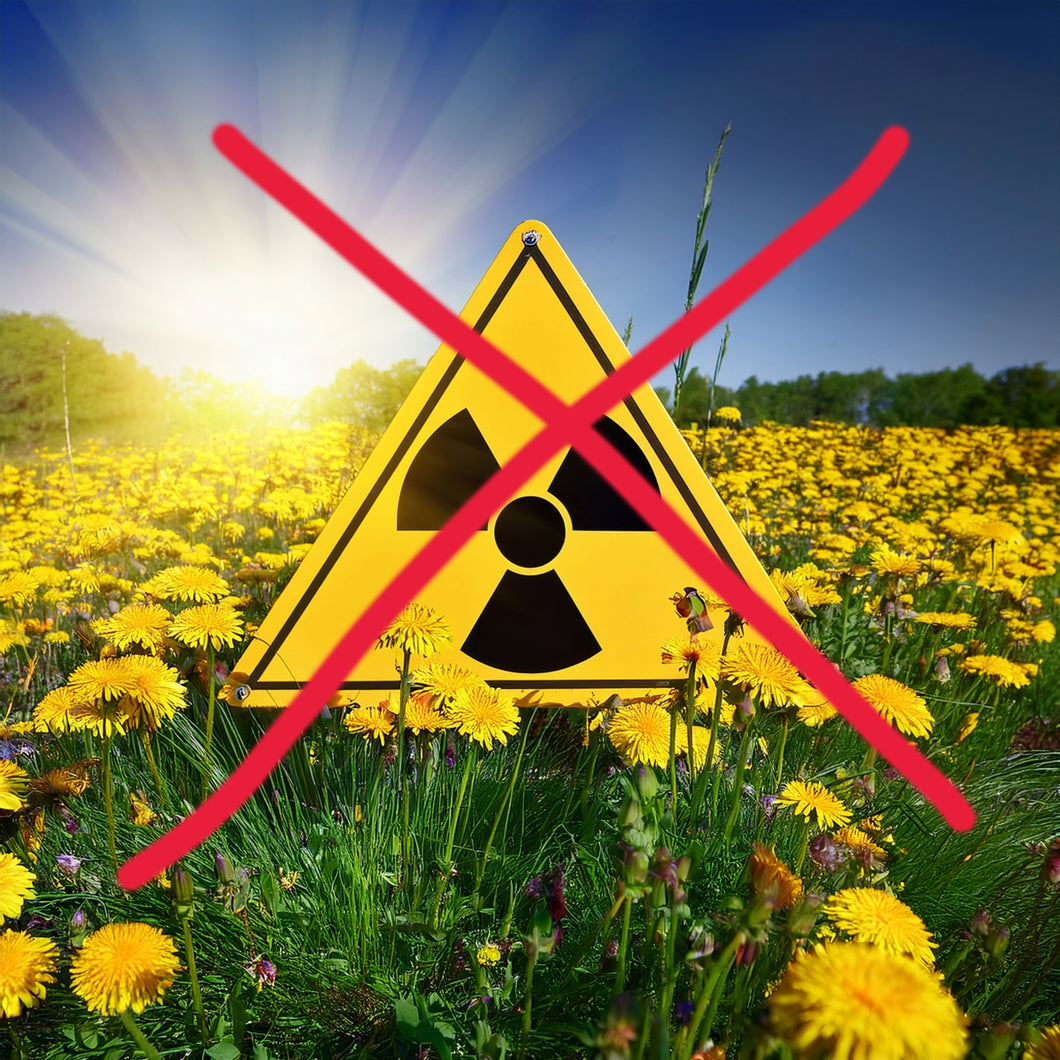 Request to the international climate conference in Basilien 2025 to phase out nuclear energy - Positive values from Germany - two free reports free sharing download with open source data