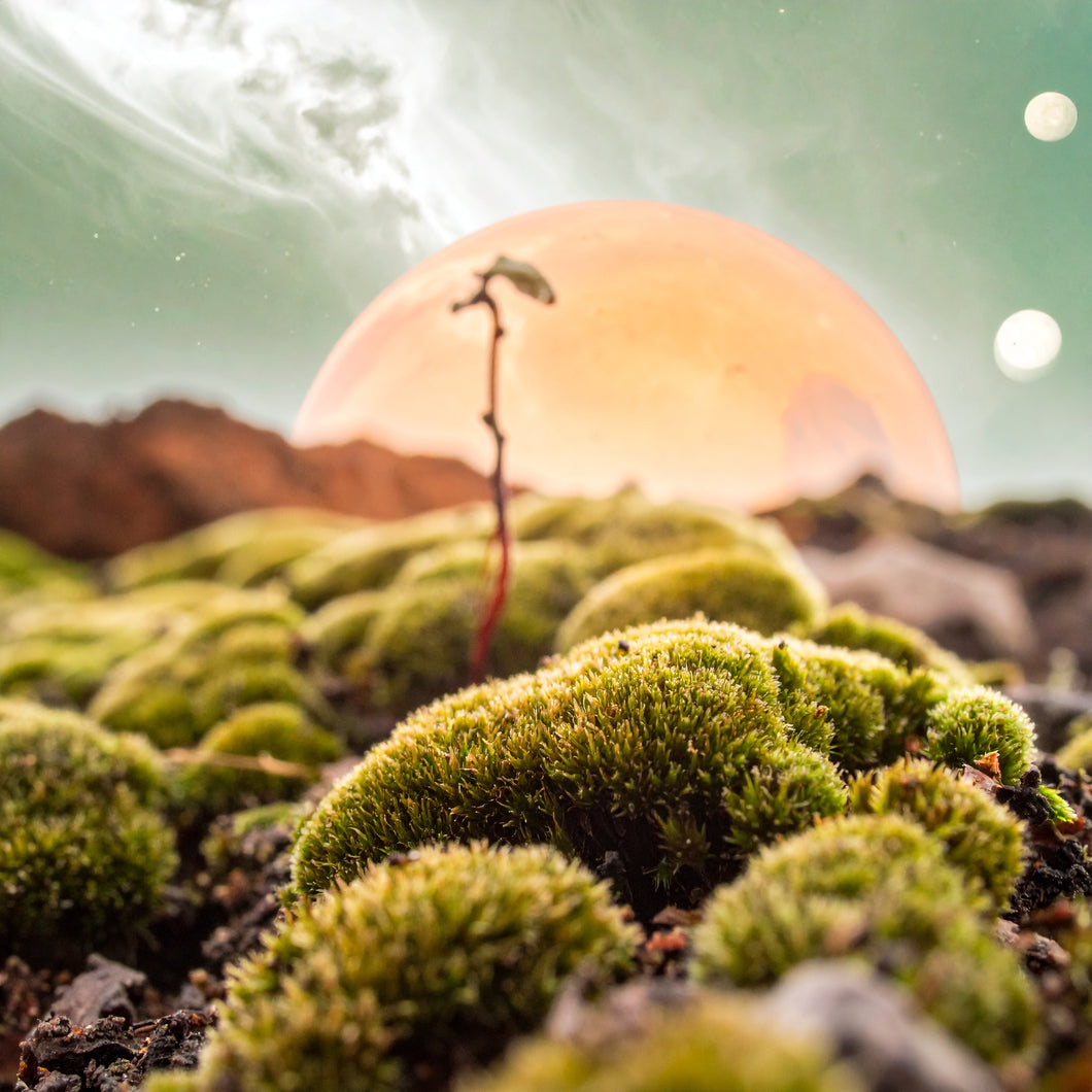 Sience Fiction Kurz Geschichte by Ralf Christoph Kaiser: 