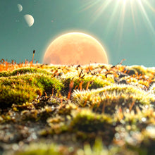 Laden Sie das Bild in den Galerie-Viewer, Sience Fiction Kurz Geschichte by Ralf Christoph Kaiser: &quot;Die Erforschung von XEros 03&quot; November 2025 auf deutsch, englisch, französisch und spanisch
