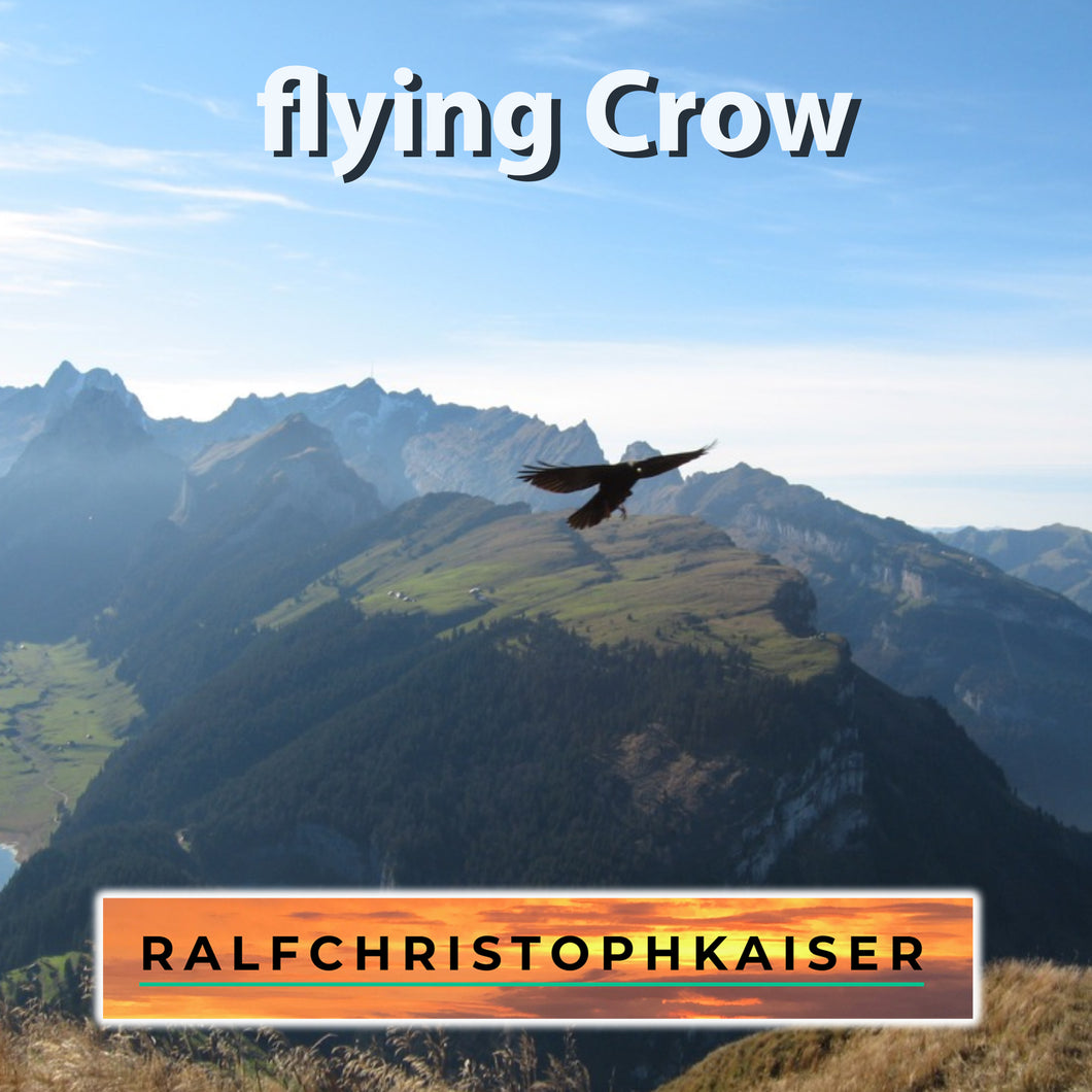 flying crow mp3 Download electroncia hitsingle by ralf christoph kaiser
